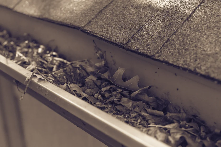 Gutter Cleaning Seabrook, TX