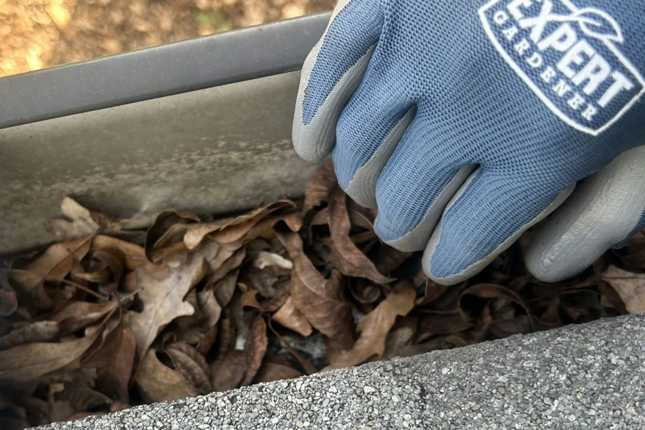 Gutter Cleaning Seabrook, TX