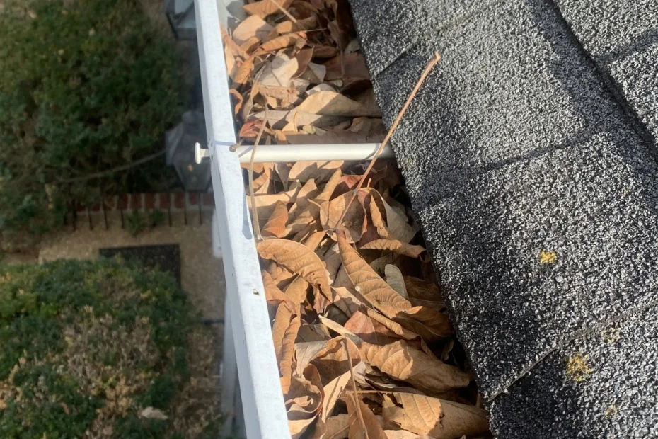 Gutter Cleaning Seabrook, TX