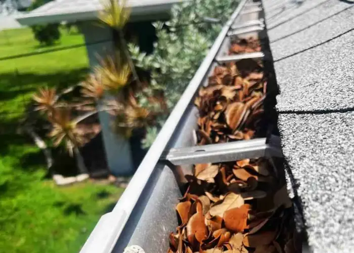 Gutter Cleaning Seabrook, Tx home page